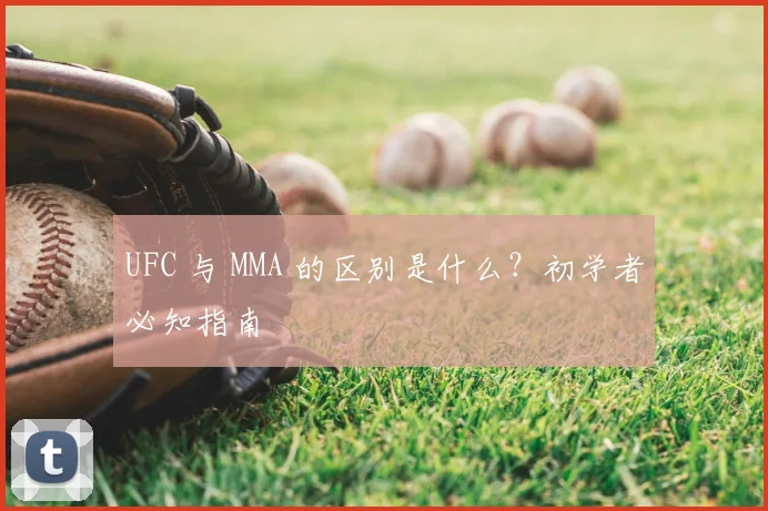 UFC 与 MMA 的区别是什么?初学者必知指南