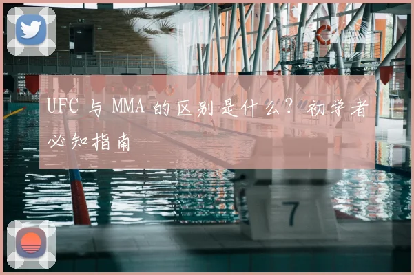 UFC 与 MMA 的区别是什么?初学者必知指南